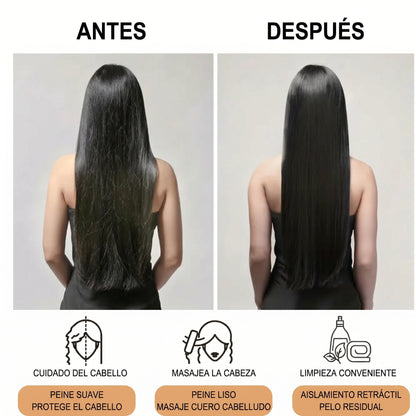 Peine Autolimpiante